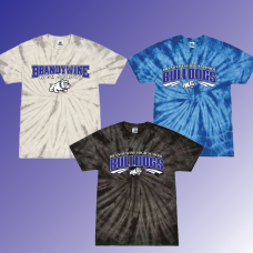 BHS  Tie Dye Tee